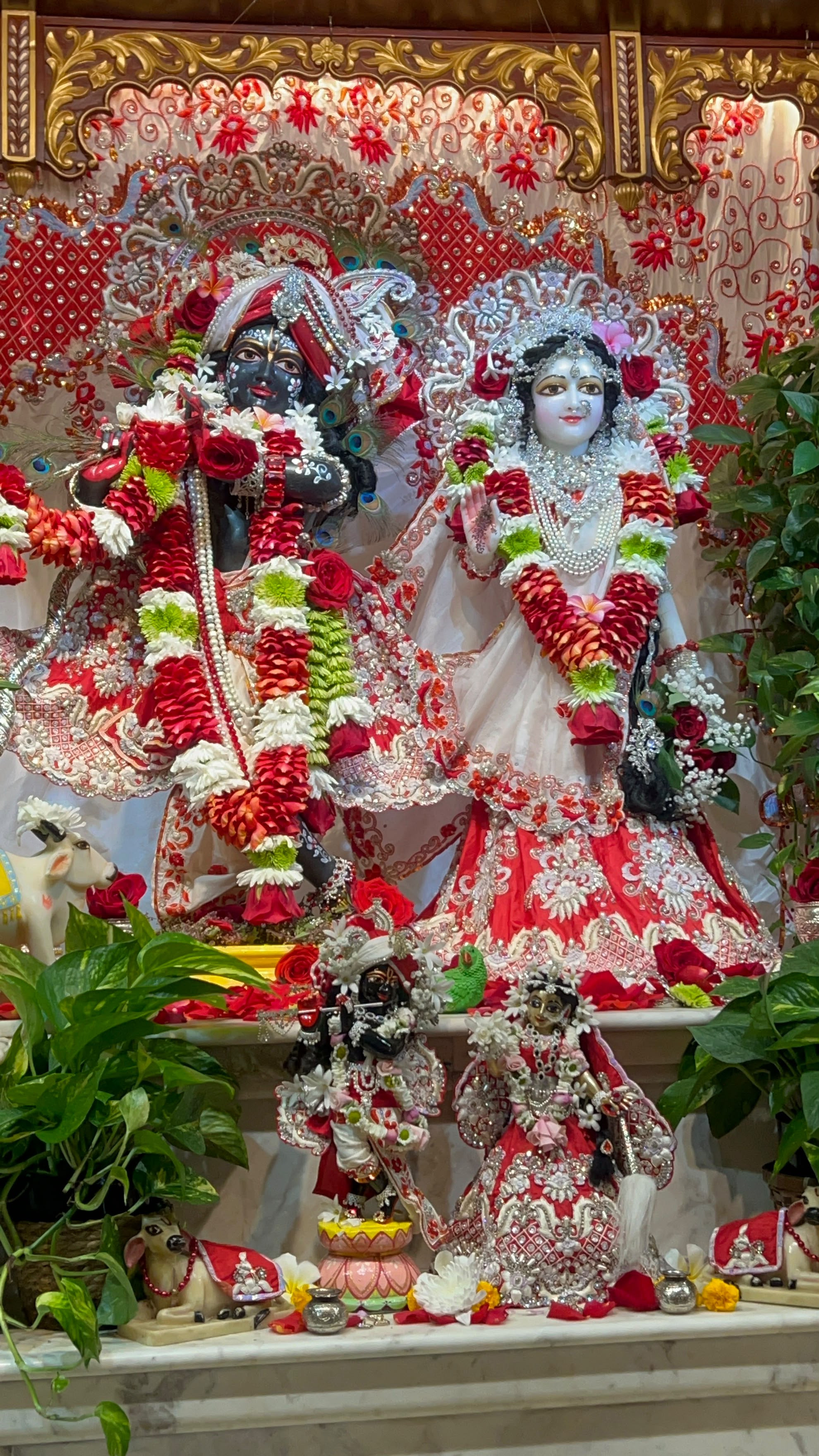 Imagine the eternal youthful Divine Couple of Braja, forever sixteen years old. Shyamsundar stands gracefully holding His flute, while Shreemati Radharani stands beside Him holding a delicate flower. Both are adorned with beautiful crowns, earrings, necklaces, bangles, and anklets. Their eyes are large, expressive, and filled with sweetness, and Their gentle smiles radiate warmth and affection.    More than Their physical beauty, it is the feeling They evoke that touches the heart. Looking at Shree Shree Radha Shyamsundar feels like receiving a glimpse of Vrindavan itself, filling one with peace, sweetness, and a deep longing for Radha and Shyamsundar.
